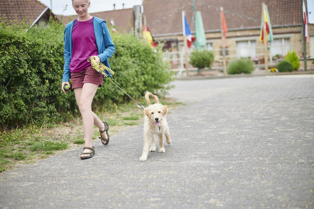 Fietsen en wandelen in de buurt - De Lombarde