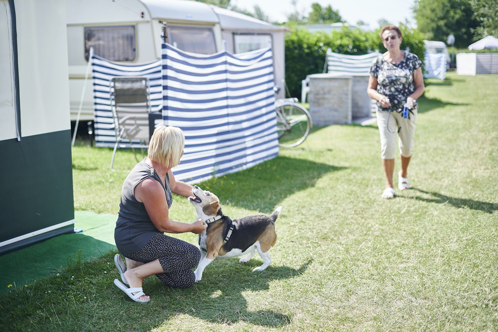 Hundevorschriften - De Lombarde