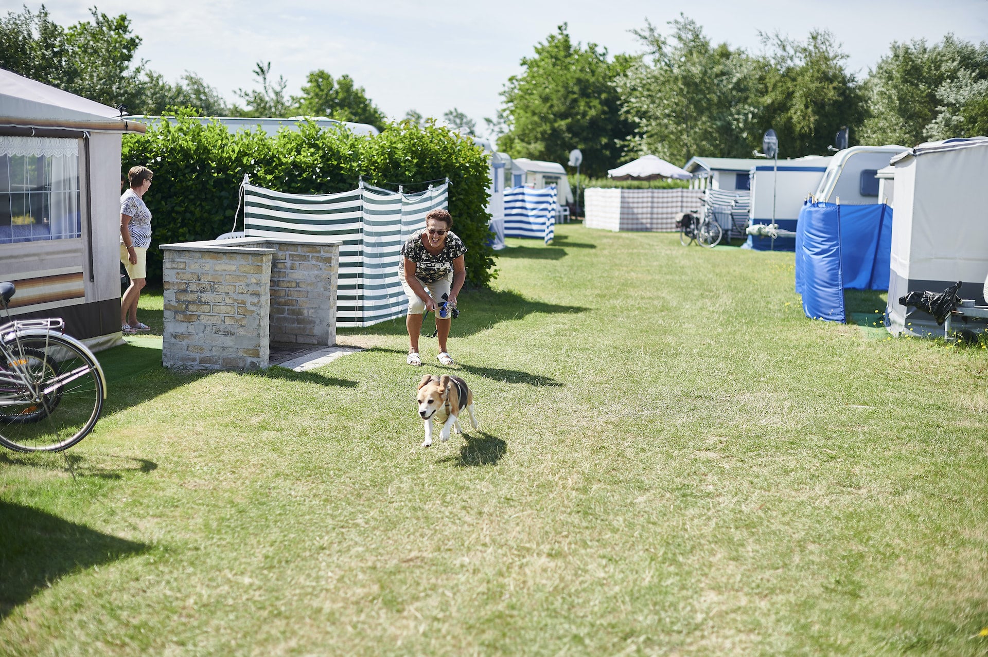 Dog regulations - De Lombarde